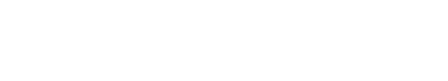 Quantum 600